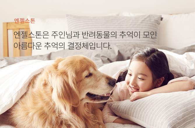 엔젤스톤은 주인님과반려동물의 추억이 모인 아름다운 추억의 결정체입니다.